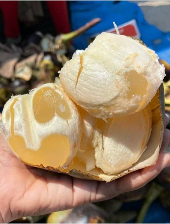 10lbs ice apple 42pcs $70
