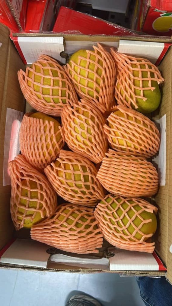 10lbs kesars mangoes $60 - Image 2