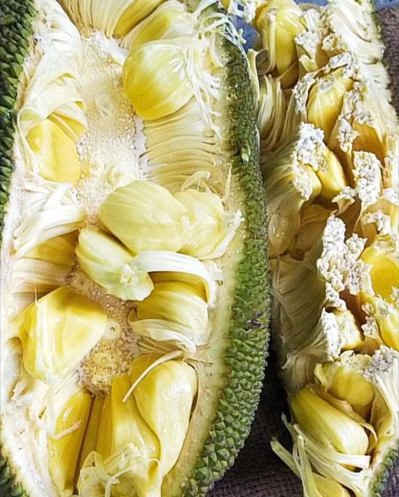 10lbs jack fruit $50