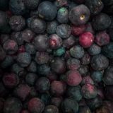 10 lbs Phalsa $52