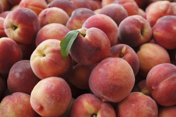 10 lbs Peach fruit  $39