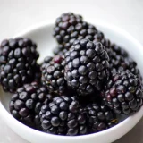 10 lbs BlackBerry fruit  $63