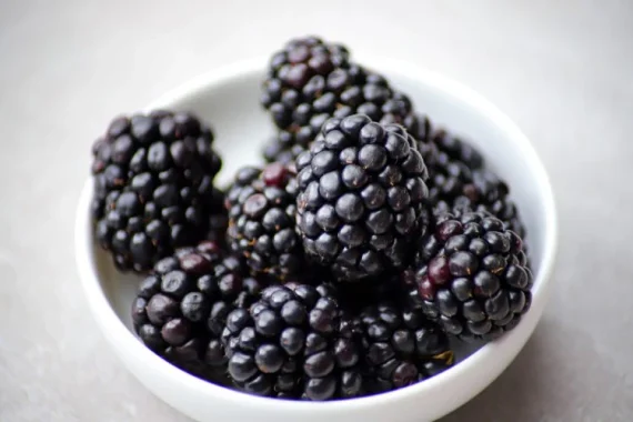 10 lbs BlackBerry fruit  $63