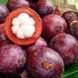 10 lbs Mangosteen fruits $57